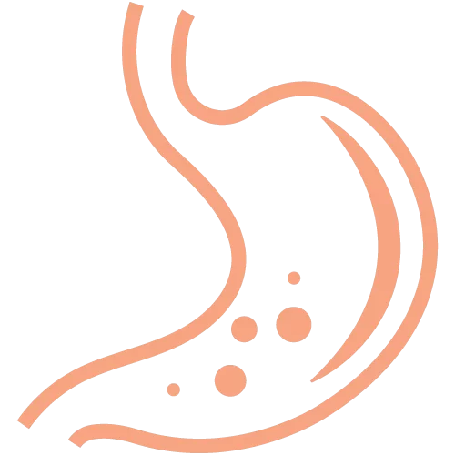 Appendicitis Surgery Rajahmundry