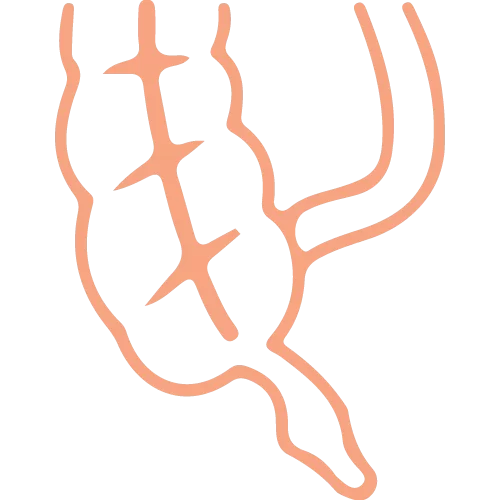 Stomach Ulcer Specialist Rajahmundry