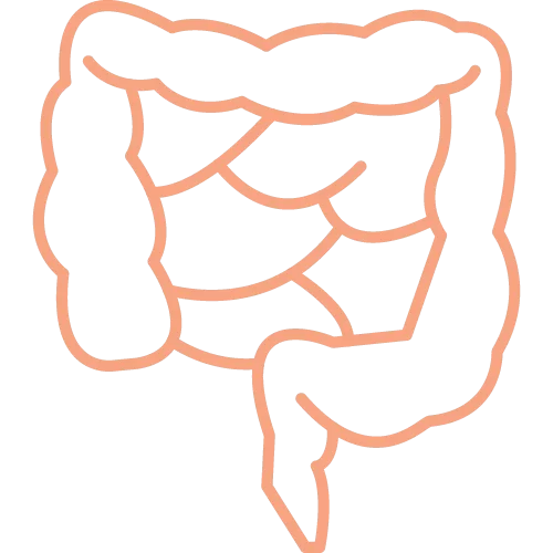Gastric Ulcer Treatment Rajahmundry