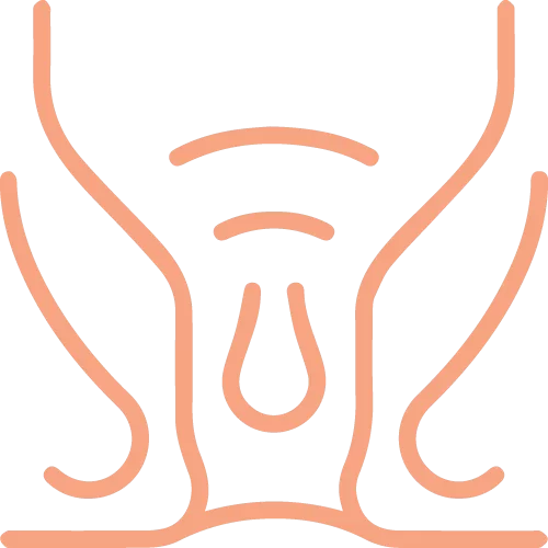Gallbladder Stone Treatment Rajahmundry
