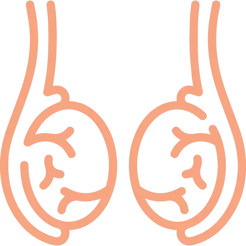 Gallstone Surgery Rajahmundry